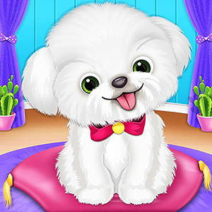 Puppy Pet Care Daycare Salon
